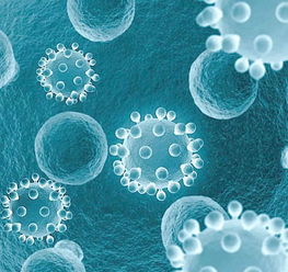 生物技術(shù)與公眾理解科學 以英國為例的分析