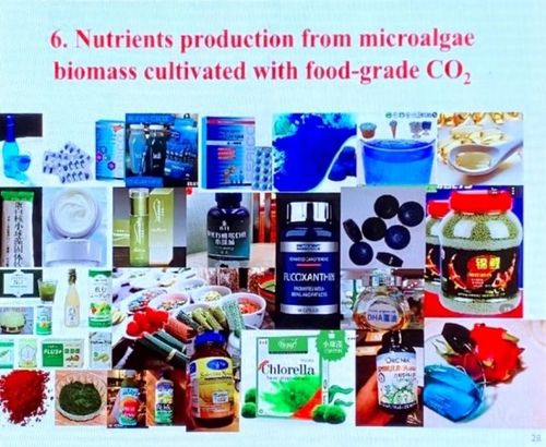 科技賦能碳中和 微藻減排燃煤電廠二氧化碳并聯(lián)產(chǎn)生物產(chǎn)品