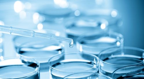 細胞培養(yǎng)干貨總結(jié) 生物科技領(lǐng)域的關(guān)鍵技術(shù)與實踐要點